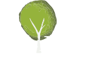 Taylor Landscape & Design Ltd Logo
